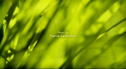 خیلی خیلی کوچک (2) (ماجرای آدامس)